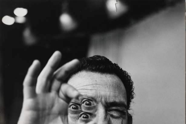The Gala-Salvador Dalí Foundation Launches Platform Dalí, a New Art and Science Program