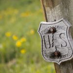 The Generations of Public Service We Lost in 2025