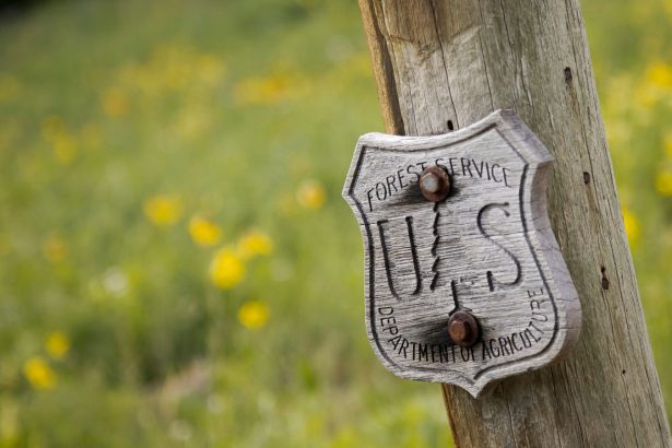 The Generations of Public Service We Lost in 2025