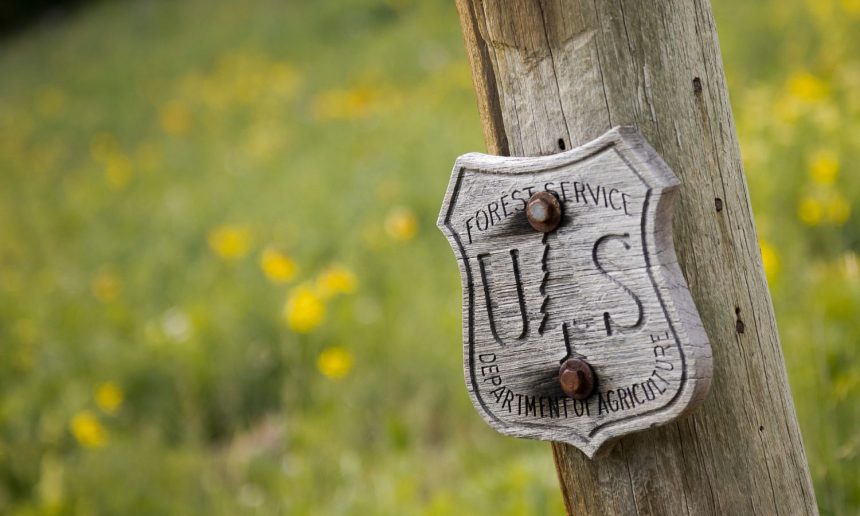 The Generations of Public Service We Lost in 2025