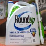The Monsanto-Backed Paper That Told Us Roundup Was Safe : ScienceAlert