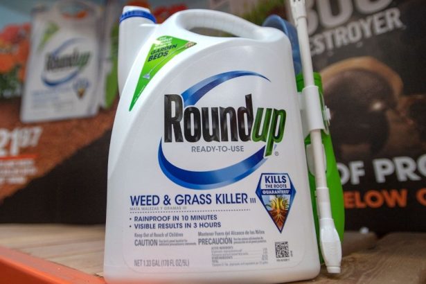 The Monsanto-Backed Paper That Told Us Roundup Was Safe : ScienceAlert