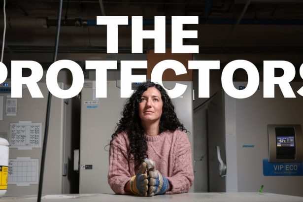 The Protectors: Inside the Desperate Rush to Save an Orca Community