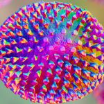 The World Is Sleeping on Bird Flu, Expert Warns : ScienceAlert