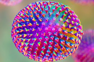 The World Is Sleeping on Bird Flu, Expert Warns : ScienceAlert