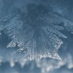 The World’s Largest Ice Desert Surprisingly Lacks Ice in One Key Place : ScienceAlert