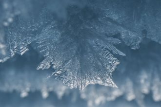 The World’s Largest Ice Desert Surprisingly Lacks Ice in One Key Place : ScienceAlert