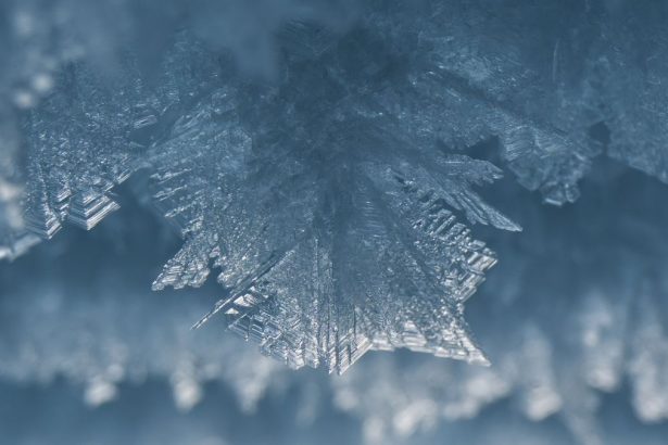 The World’s Largest Ice Desert Surprisingly Lacks Ice in One Key Place : ScienceAlert