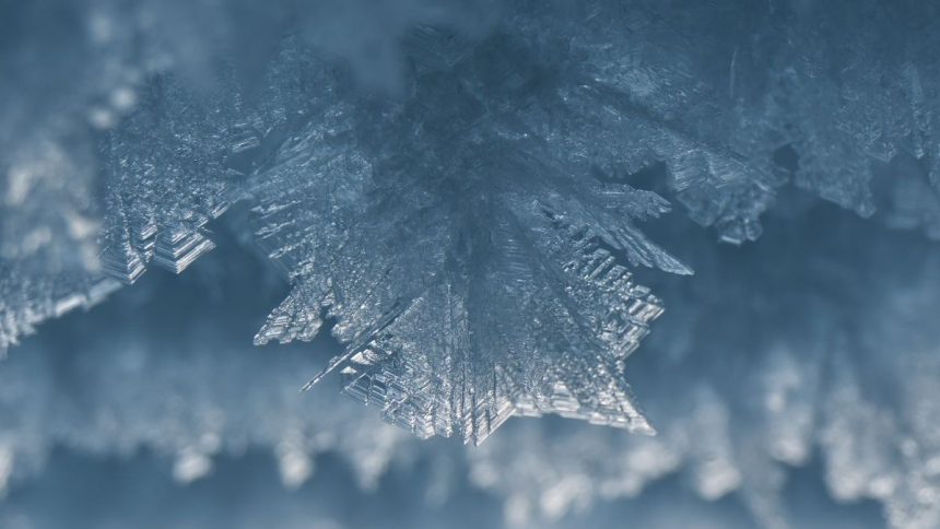 The World’s Largest Ice Desert Surprisingly Lacks Ice in One Key Place : ScienceAlert