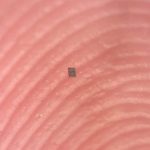 The World’s Smallest Programmable Robot Can Barely Be Seen : ScienceAlert