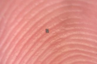 The World’s Smallest Programmable Robot Can Barely Be Seen : ScienceAlert