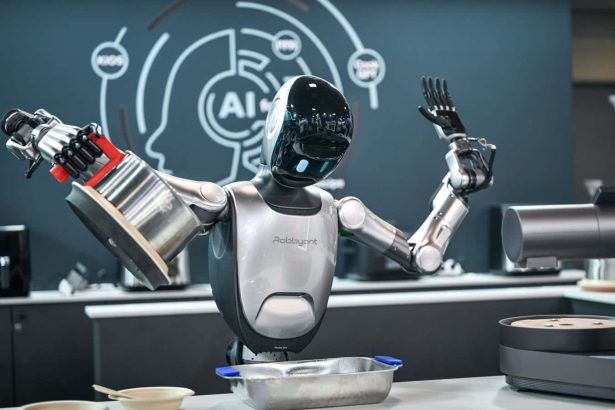 The best and most ridiculous robots of 2025 in pictures