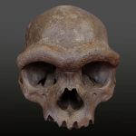 The most amazing archaeology photos and discoveries of 2025