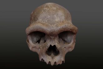 The most amazing archaeology photos and discoveries of 2025