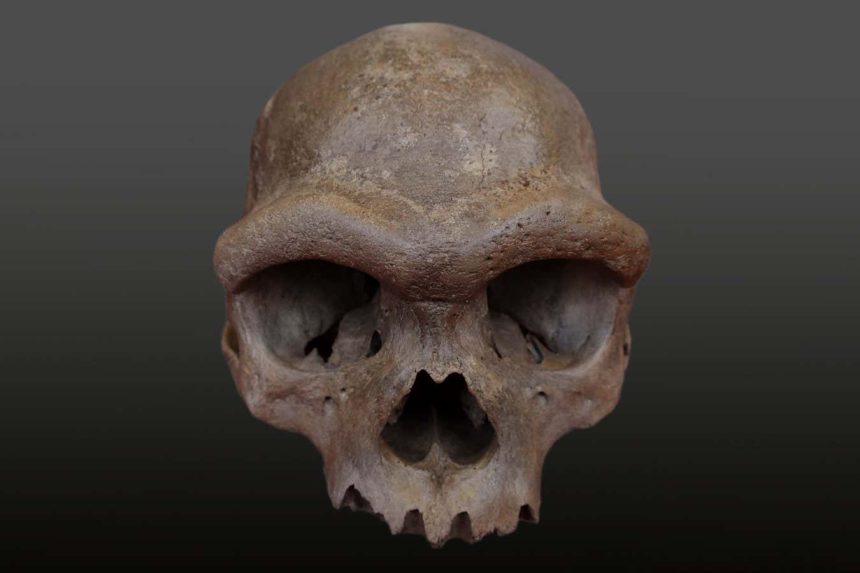 The most amazing archaeology photos and discoveries of 2025