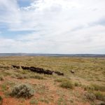 The wealthy profit from public lands, and taxpayers pick up the tab