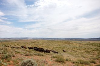 The wealthy profit from public lands, and taxpayers pick up the tab