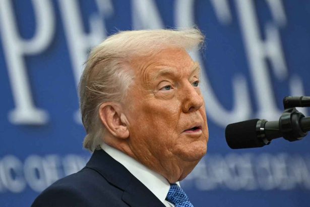 The year the US doubled down on critical minerals