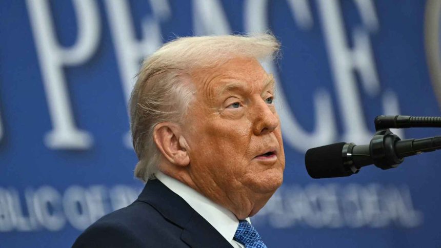 The year the US doubled down on critical minerals