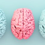 There’s a Surprising Link Between a Key Nutrient, Obesity, And Alzheimer’s Risk : ScienceAlert