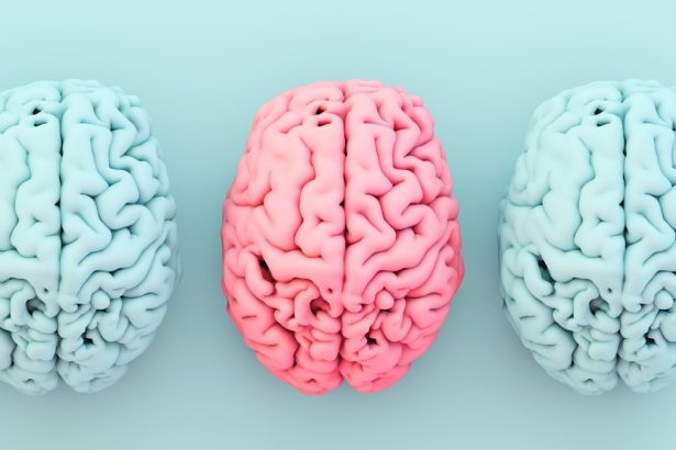 There’s a Surprising Link Between a Key Nutrient, Obesity, And Alzheimer’s Risk : ScienceAlert