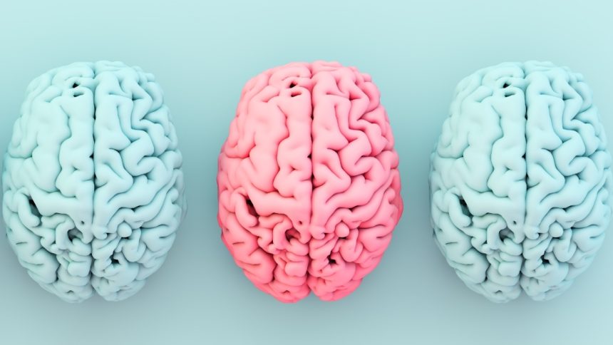 There’s a Surprising Link Between a Key Nutrient, Obesity, And Alzheimer’s Risk : ScienceAlert