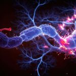 This Rare Genetic Mutation Kills Brain Cells, And We Finally Know Why : ScienceAlert