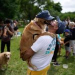 This is what happens when 2,397 golden retrievers gather in an Argentina park