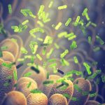 Tiny Molecule Made by Gut Bacteria Could Cut Type 2 Diabetes Risk : ScienceAlert