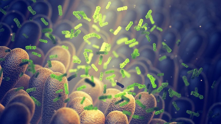 Tiny Molecule Made by Gut Bacteria Could Cut Type 2 Diabetes Risk : ScienceAlert