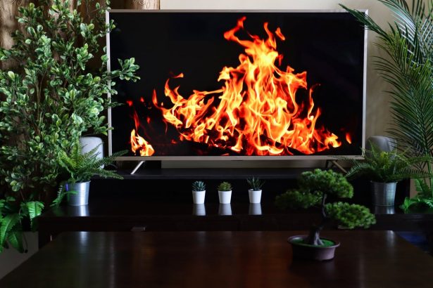 Tired of an Old-Fashioned Yule Log Video? Try These Scientific Alternatives Instead