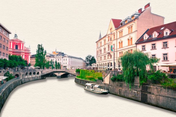 To fight chronic disease, MAHA could look to Slovenia for tips