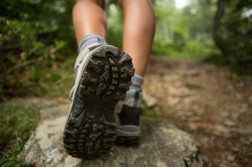 Tramper dies, another rescued on remote West Coast track