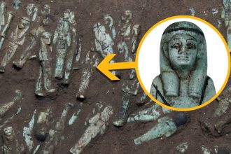 Trove of 225 ‘Exceptional’ Egyptian Figurines Solves Long-Standing Mystery : ScienceAlert