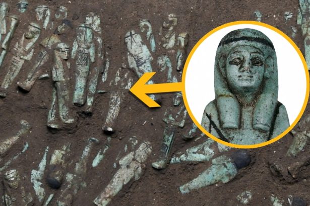 Trove of 225 ‘Exceptional’ Egyptian Figurines Solves Long-Standing Mystery : ScienceAlert