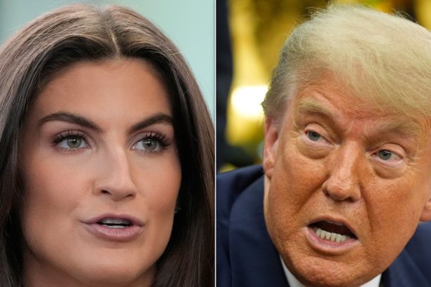 Trump Attacks ‘Stupid’ Kaitlan Collins For Asking About Ballroom
