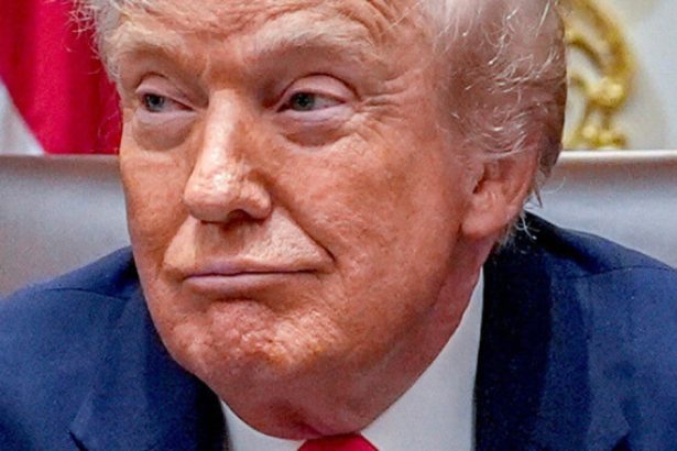 Trump Fans Attack His Rob Reiner Post On Truth Social