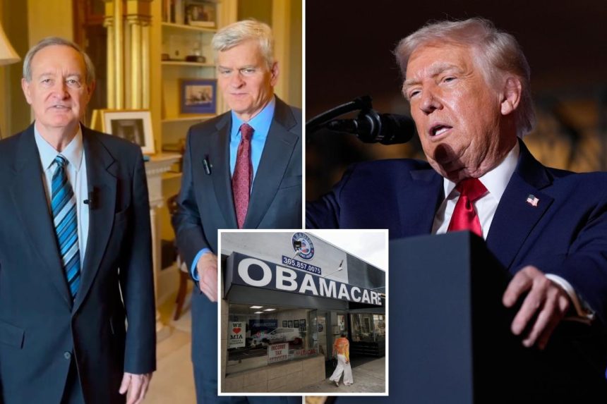 Trump backs Senate GOP bill to give Americans ,500 checks for health care