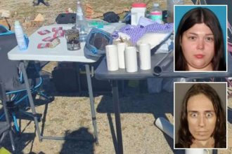 Turtle Island Liberation Front terrorists plotted to detonate weapons of mass destruction across LA: feds