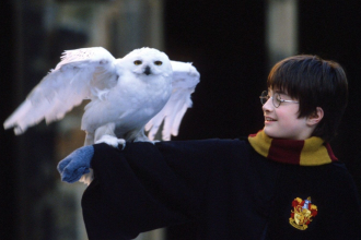 The Magic Behind the Nolstagia