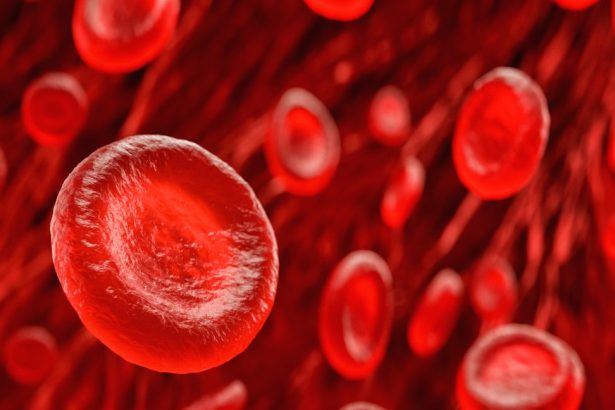 Video: Highlights from a Sickle Cell Disease Event