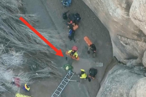 Video Shows Hiker Rescued After Being Trapped In Quicksand — Yes, Quicksand! — For Hours