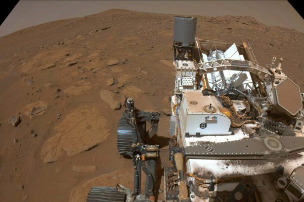 Was 2025 the year we found signs of past life on Mars?