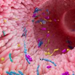 We may finally know what a healthy gut microbiome looks like