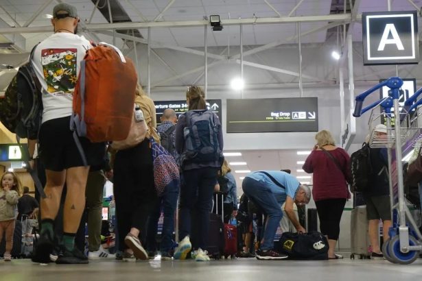 What are NZ’s busiest flying days this summer?