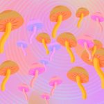 What is Bryan Johnson up to now? We try to explain