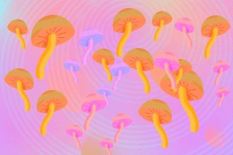 What is Bryan Johnson up to now? We try to explain