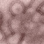 What to know about this year’s flu shot | STATus Report