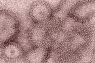 What to know about this year’s flu shot | STATus Report