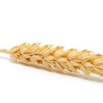 Wheat Faces Monday Pressure